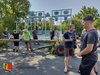 Gegen 15 Uhr kam der Baum am Festplatz an und wurde durch Entasten, Schälen und Schmücken für das Aufstellen vorbereitet.