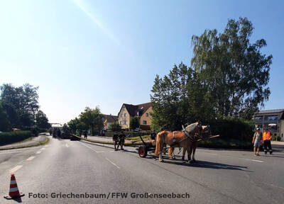 Für den Transport des 32 Meter langen Seebacher Kerwabaums 2024 musste kurzzeitig die Hauptstraße gesperrt werden. Herzlichen Dank an unsere Feuerwehr; auch für das Foto!