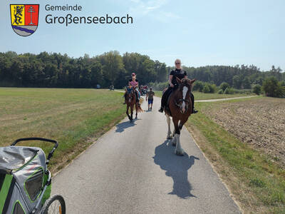 Auch die Pferdefreunde Großenseebach haben den Zug mit dem Kerwabaum begleitet. Hinten folgen Traktoren(gespanne mit Kindern).